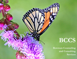 BCCS Logo copy